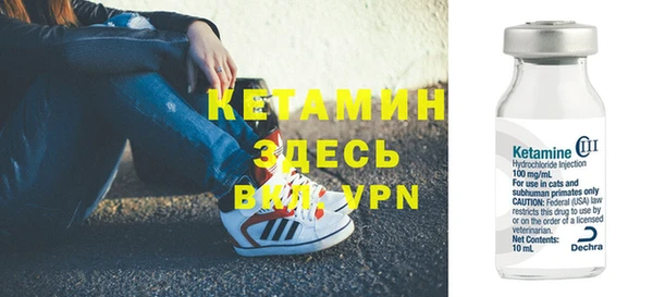 прущие грибы Горняк