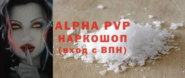 прущие грибы Горняк
