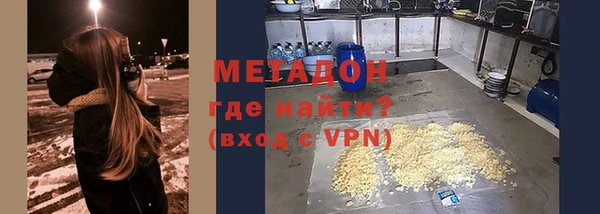 прущие грибы Горняк
