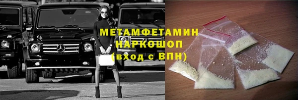 прущие грибы Горняк