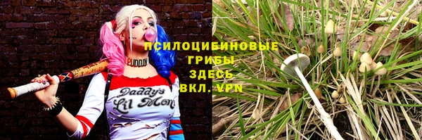 таблы Горнозаводск