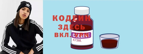 прущие грибы Горняк