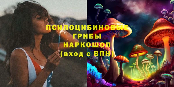 прущие грибы Горняк