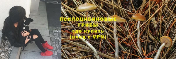 таблы Горнозаводск