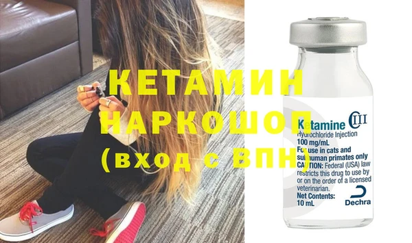 прущие грибы Горняк
