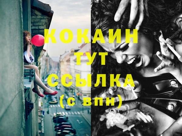 прущие грибы Горняк