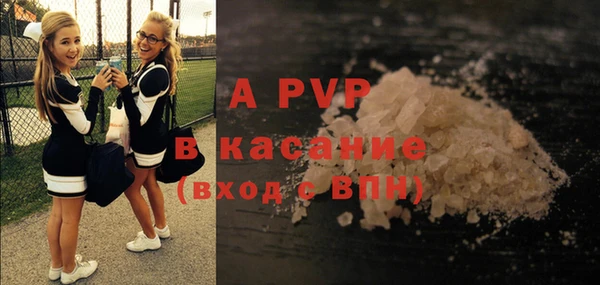 прущие грибы Горняк