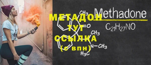 прущие грибы Горняк