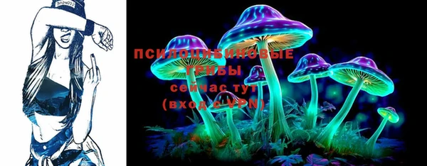 прущие грибы Горняк